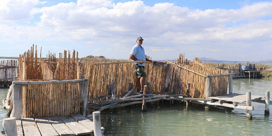 Çukurova’dan çıkıyor Türkiye’nin sofralarını süslüyor! Kilosu 5.000 TL’yi buluyor: Talep hiç bitmiyor 4